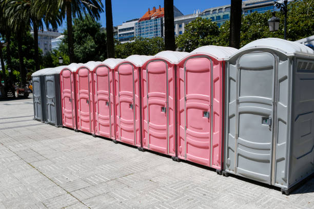 Types of Portable Toilets We Offer in Roslyn, NY